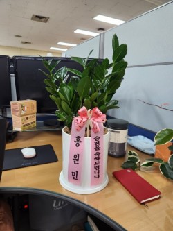배송사진