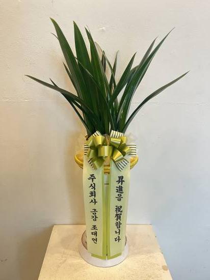 업로드 이미지