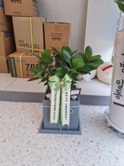 배송사진