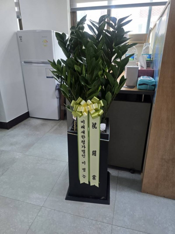 업로드 이미지