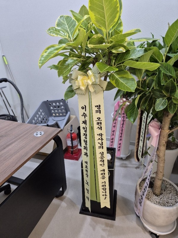 업로드 이미지
