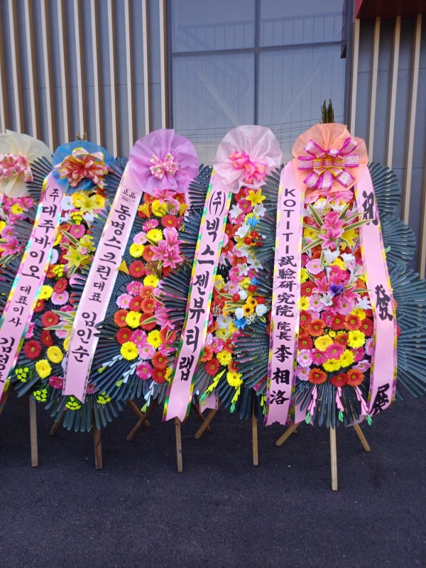 업로드 이미지