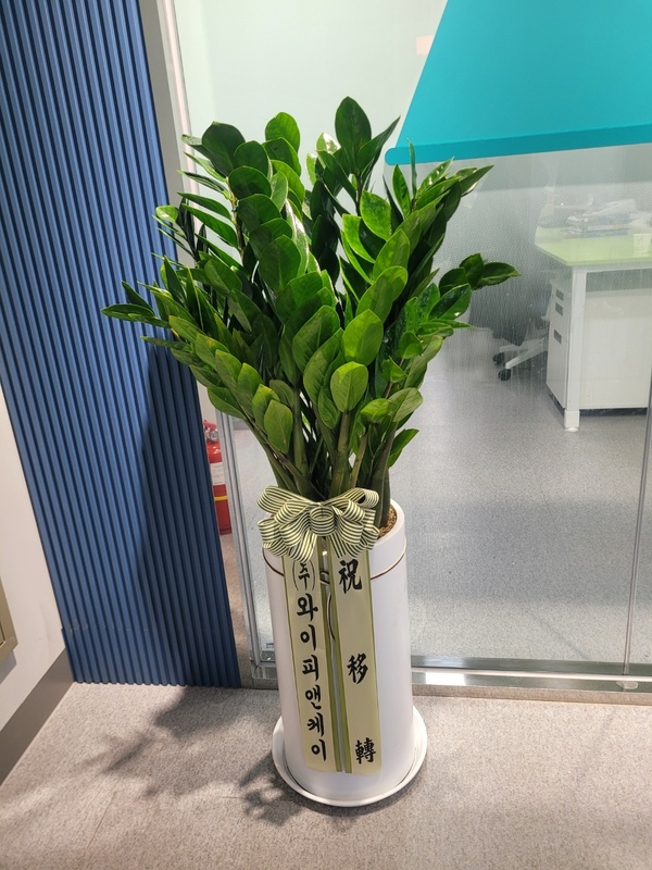 업로드 이미지
