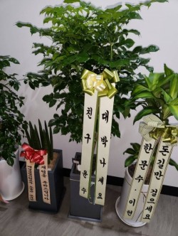 배송사진