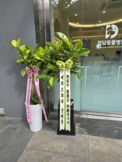 배송사진
