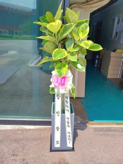 배송사진