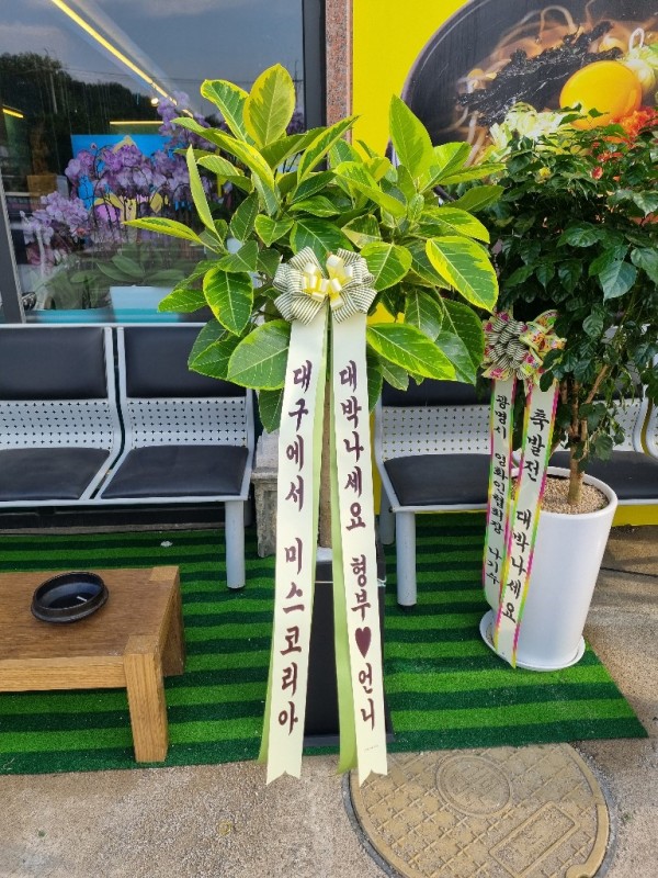 업로드 이미지