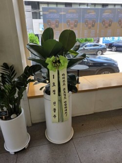 배송사진