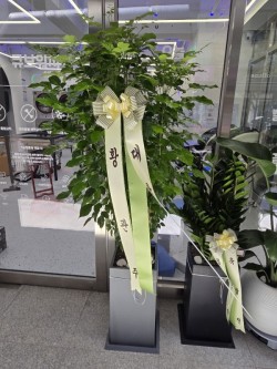 배송사진