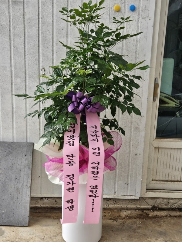 업로드 이미지