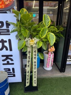 배송사진
