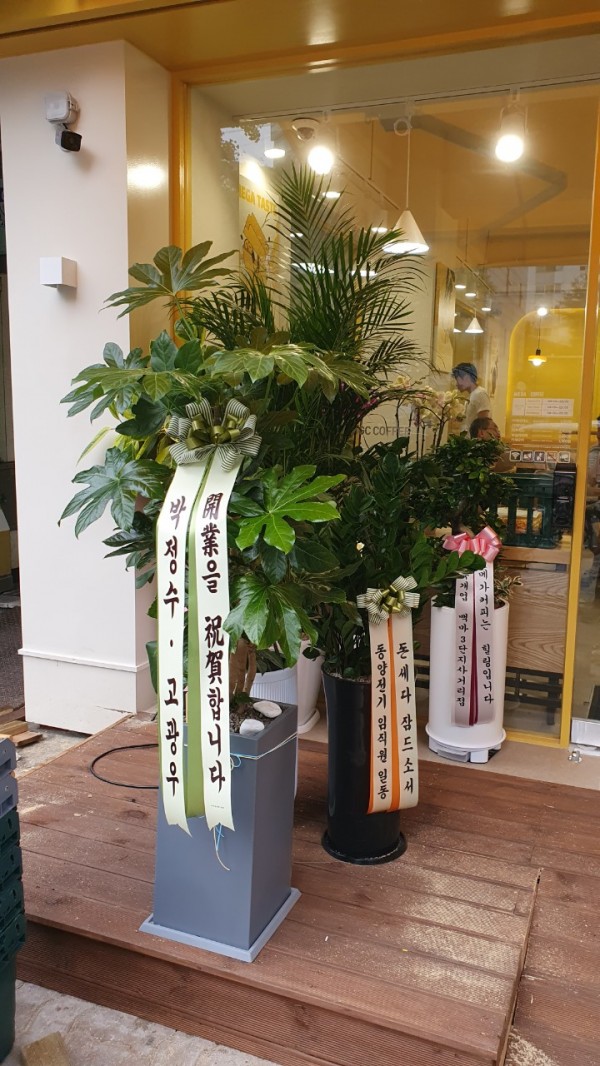 업로드 이미지