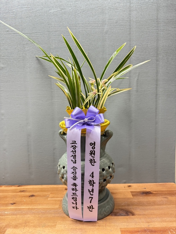 업로드 이미지