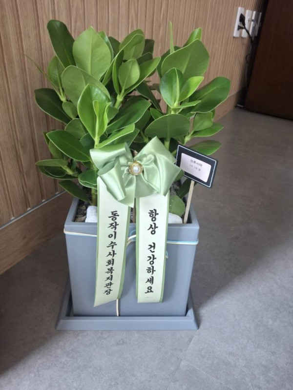 업로드 이미지