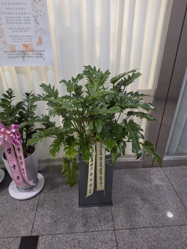 업로드 이미지