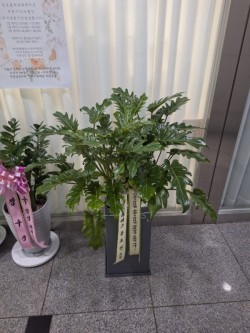 배송사진