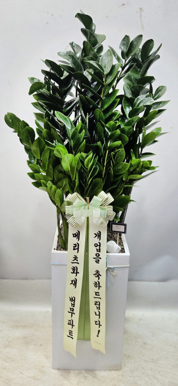 업로드 이미지