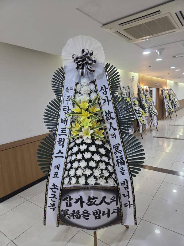 업로드 이미지