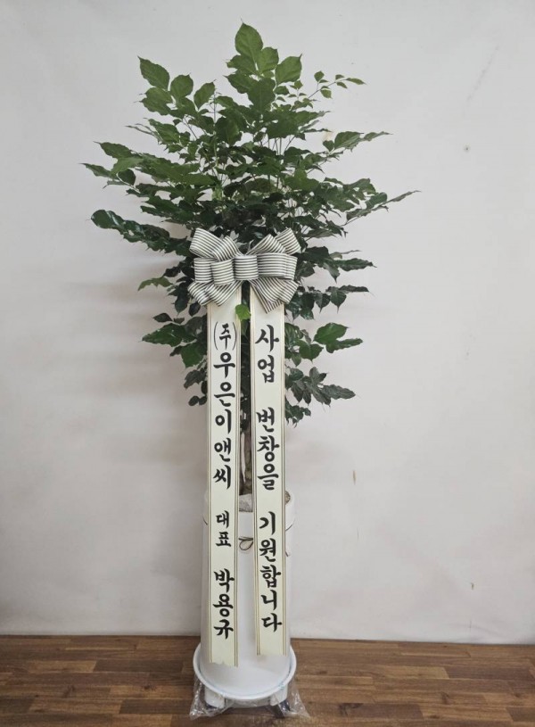 업로드 이미지