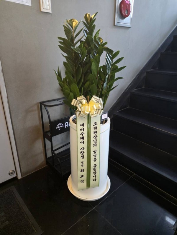업로드 이미지