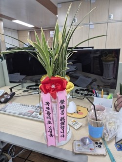 배송사진