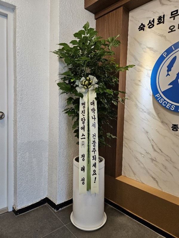 업로드 이미지