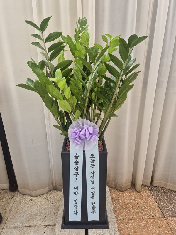 업로드 이미지