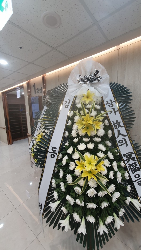 업로드 이미지