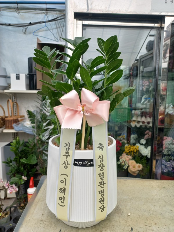 업로드 이미지