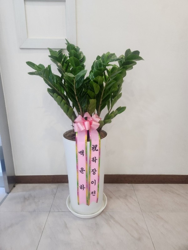 업로드 이미지