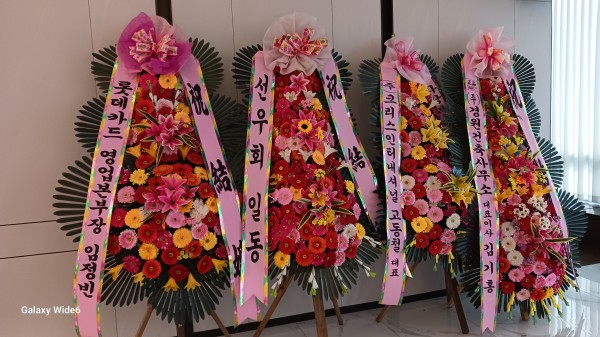 업로드 이미지
