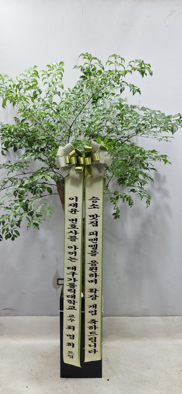 업로드 이미지