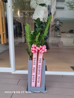 배송사진
