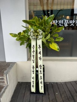 배송사진