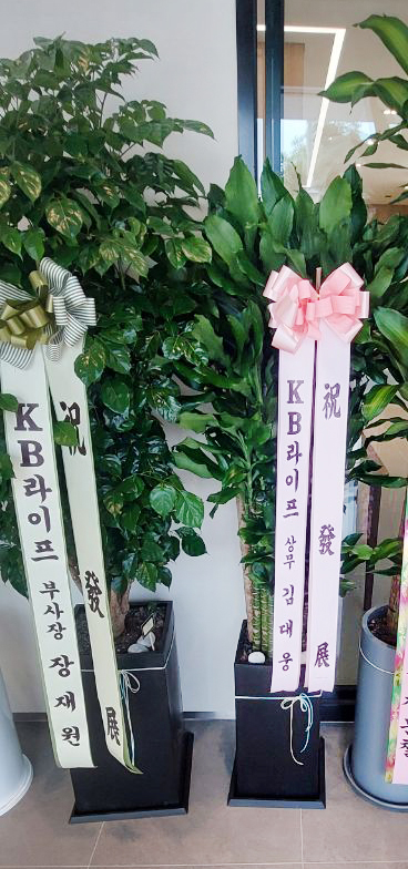 업로드 이미지