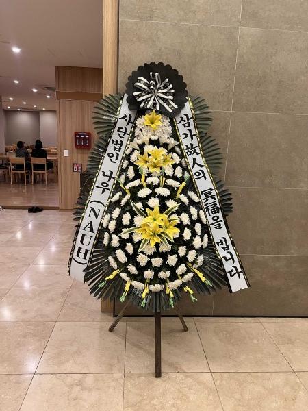 업로드 이미지