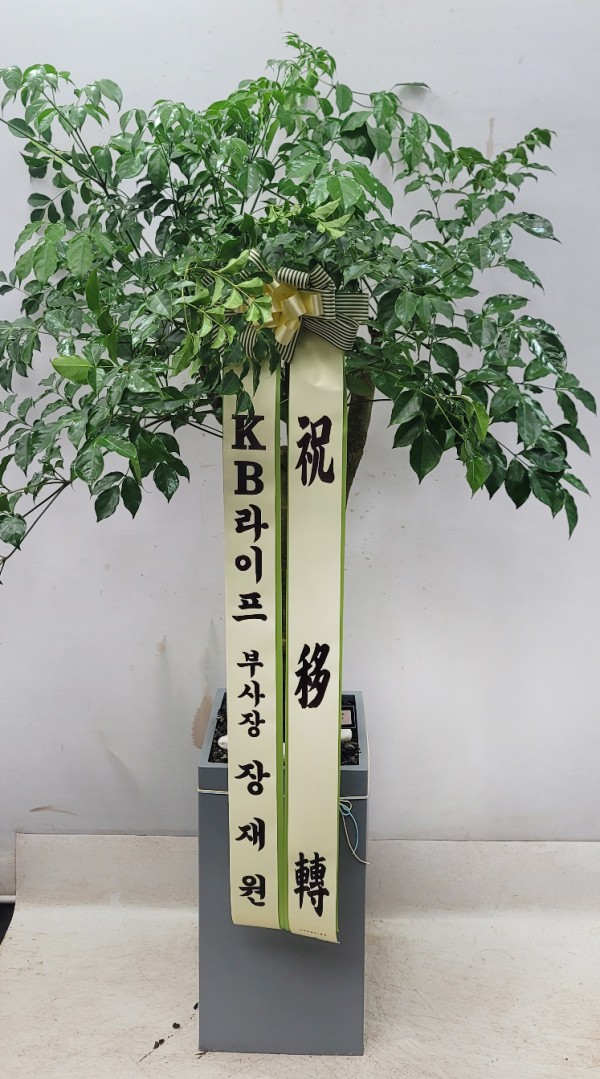 업로드 이미지