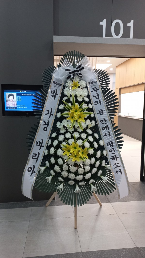 업로드 이미지