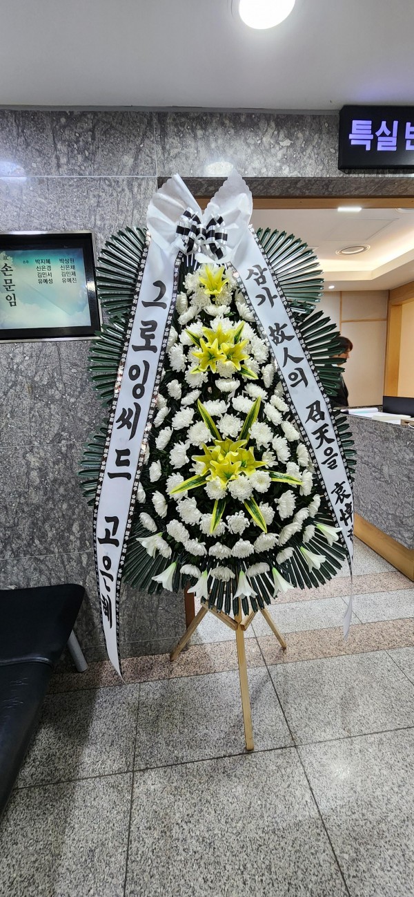 업로드 이미지