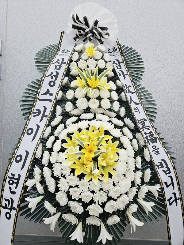 업로드 이미지