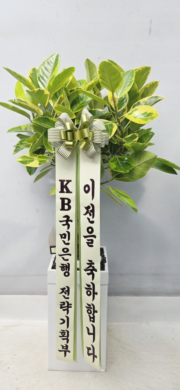 업로드 이미지