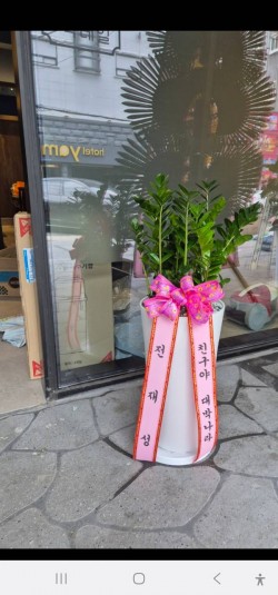 배송사진