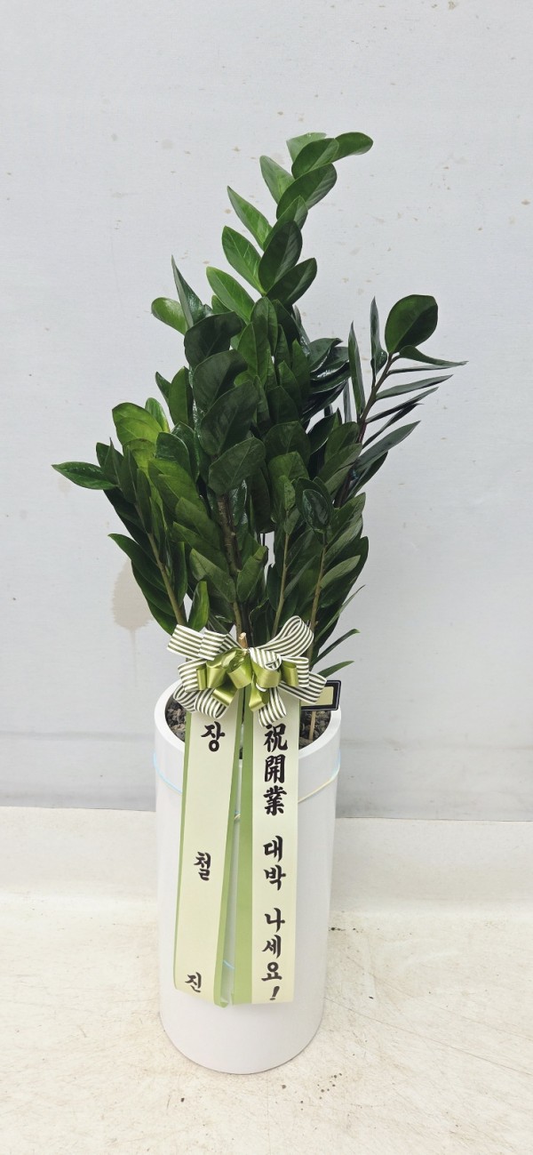 업로드 이미지