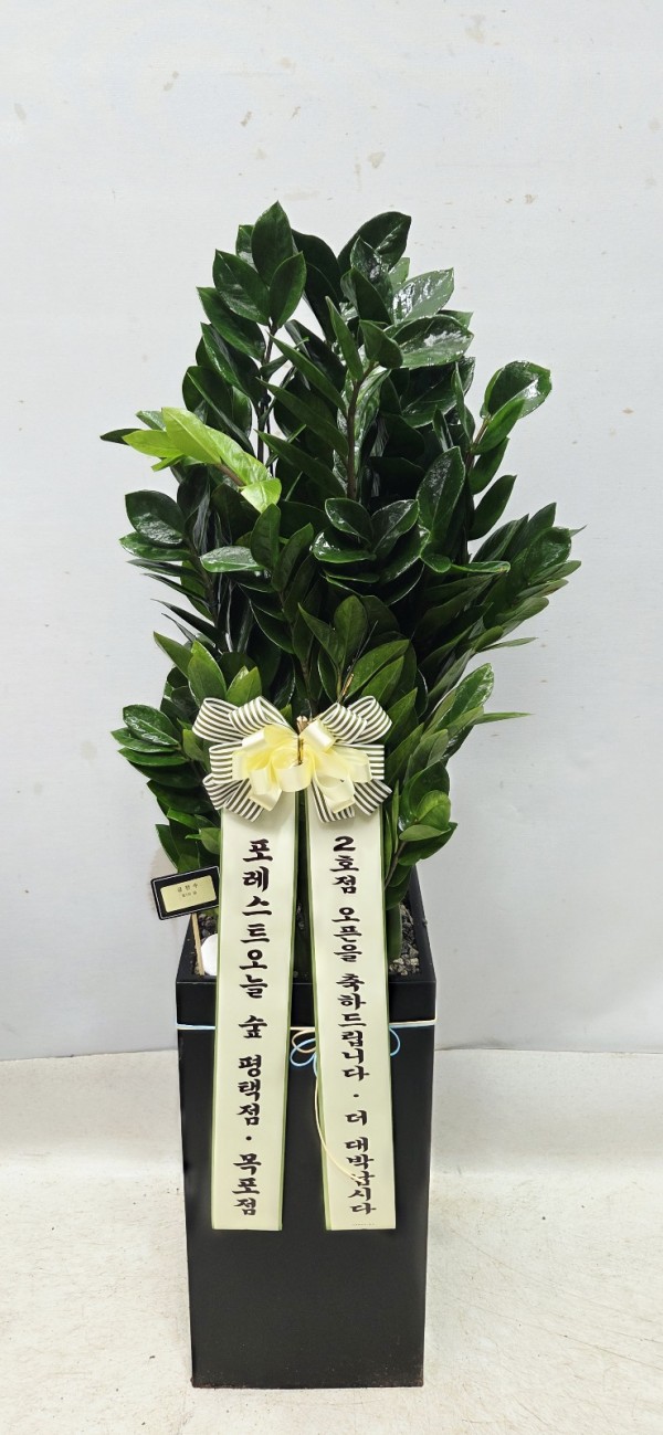 업로드 이미지