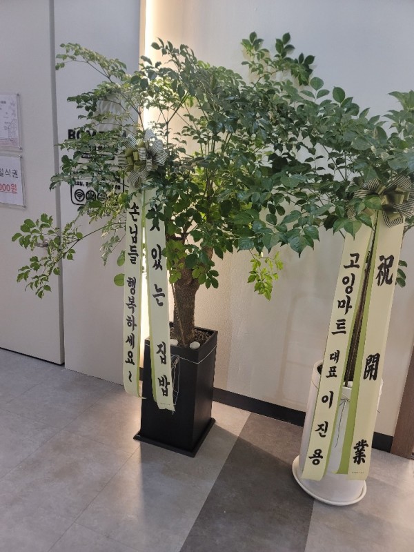 업로드 이미지