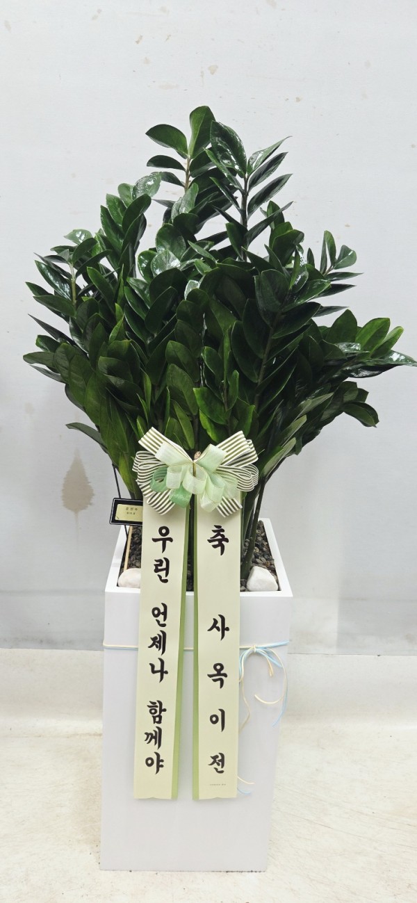 업로드 이미지