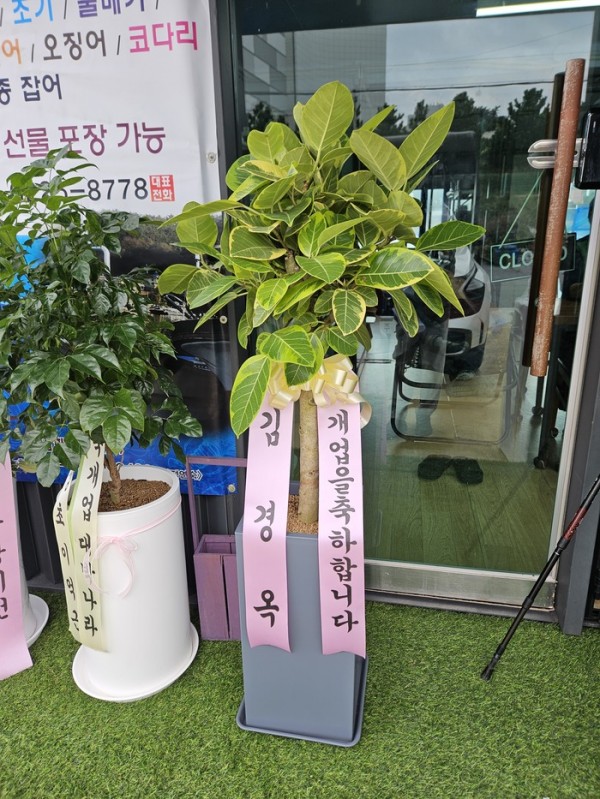 업로드 이미지