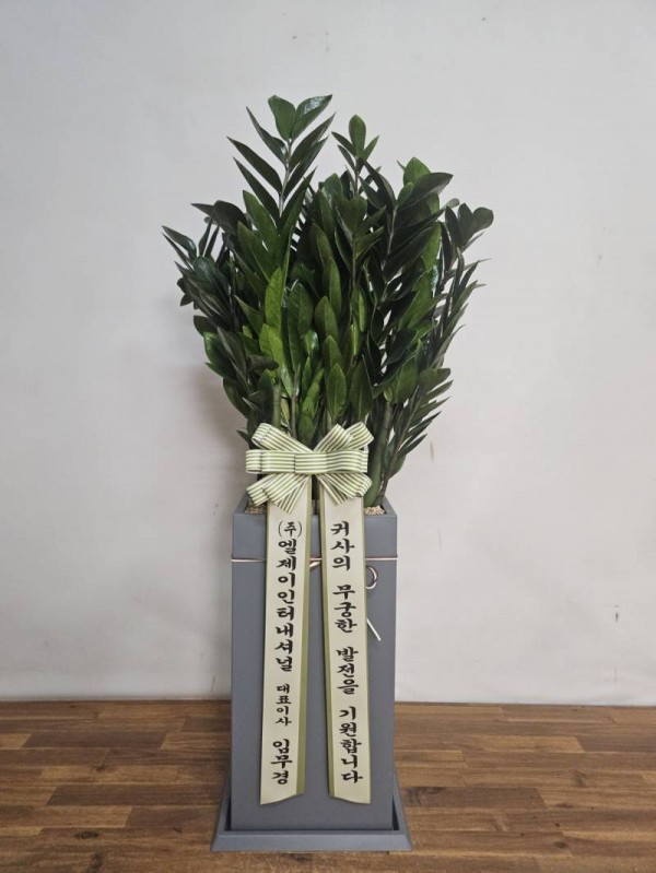 업로드 이미지