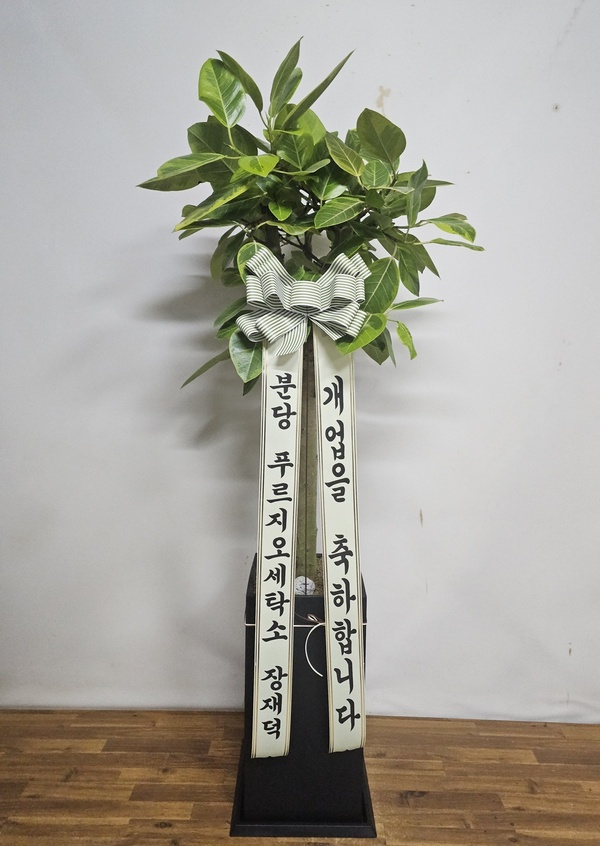 업로드 이미지