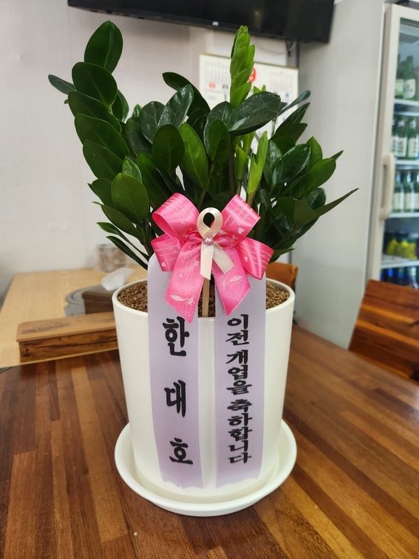 업로드 이미지